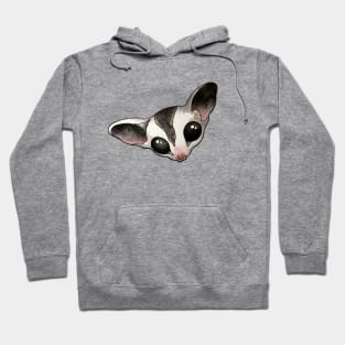 Sugar glider Hoodie